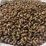 Cicada Slough Extract Supplier - Solvent Extraction Powder