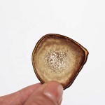 Deer Antler Slice Supplier - Jilin Origin Wholesale