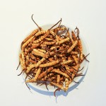 Cordyceps Militaris Supplier - Artificial 3200pcs kg