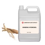 Ginseng Hydrosol Supplier - Revitalizing Age Defying