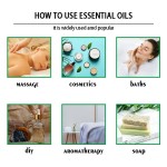 Turmeric Essential Oil Manufacturer - Cosmetic Grade Nourishing