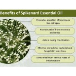 Jatamansi Essential Oil Supplier - Natural Aromatherapy Cosmetic