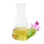 Turmeric Root Oil Manufacturer - Bulk Skin Moisturizing