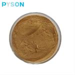 Fenugreek Extract Supplier - 50% Saponins Powder