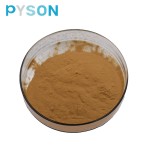 Fenugreek Extract Supplier - 50% Saponins Powder