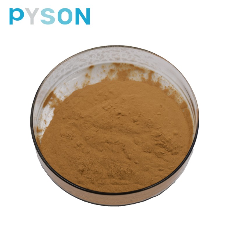 Fenugreek Extract Supplier - 50% Saponins Powder