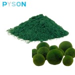 Nannochloropsis Powder Supplier - Oculata Natural Bulk