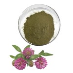 Red Clover Extract Factory - Menopause Supplement