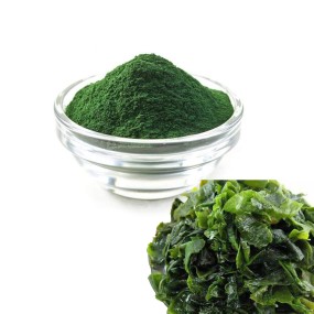 Spirulina Powder Manufacturer - Organic Food Cosmetic
