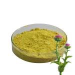 Silymarin Extract Manufacturer - 40% Silybin Liver
