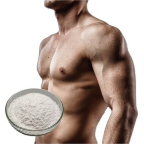 Creatine Monohydrate Manufacturer - Pure Powder Supplement