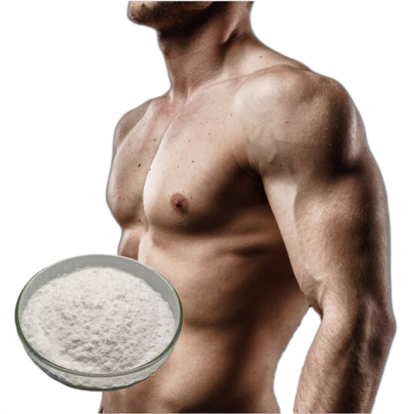 Creatine Monohydrate Manufacturer - Pure Powder Supplement