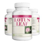 Lotus Leaf Extract Factory - Capsules Private Label OEM