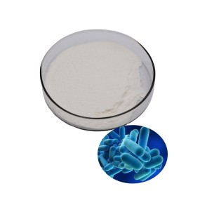 Bifidobacterium Breve Supplier - Pure Probiotics Powder