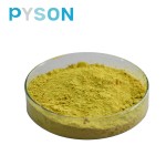 Silymarin Extract Manufacturer - 40% Silybin Liver