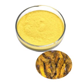 Berberine HCL Factory - 97% Coptis Root Extract