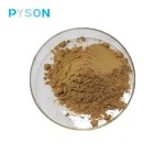 Lady's Mantle Extract Supplier - 10:1 Skin Whitening