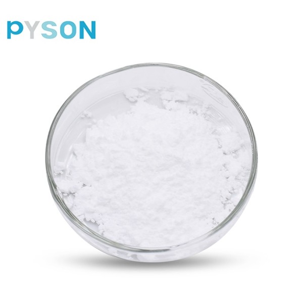 Acetyl-L-Carnitine HCL Supplier - 98% Powder Bulk