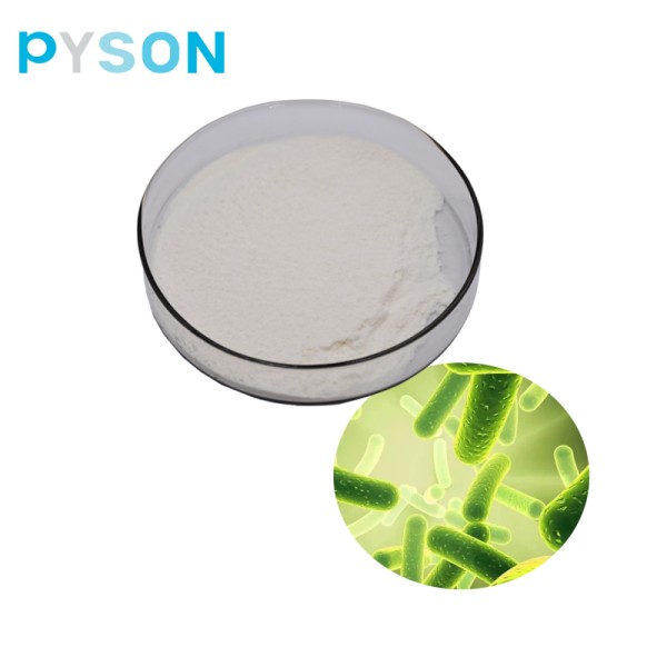 Probiotics Powder Supplier - Organic Bifidobacterium Infantis