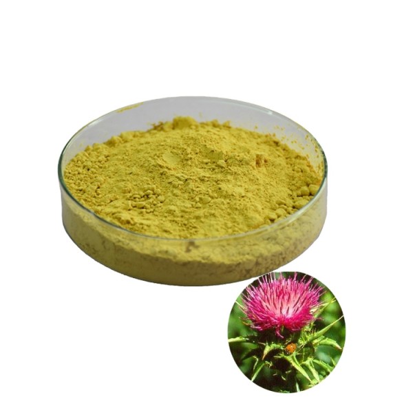 Silymarin Extract Manufacturer - 40% Silybin Liver
