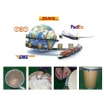 Lactobacillus Bulgaricus Manufacturer - Freeze Dried Powder