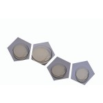 Lactobacillus Bulgaricus Manufacturer - Freeze Dried Powder