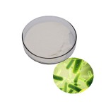 Probiotics Powder Supplier - Organic Bifidobacterium Infantis