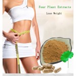 Lotus Leaf Extract Factory - Capsules Private Label OEM