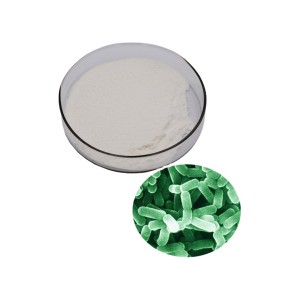 Lactobacillus Gasseri Factory - Bulk Probiotic Powder
