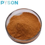 Lions Mane Powder Factory - 40% Extract Immunity