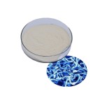 Bifidobacterium Longum Manufacturer - Probiotics Raw Material