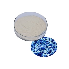 Bifidobacterium Longum Manufacturer - Probiotics Raw Material