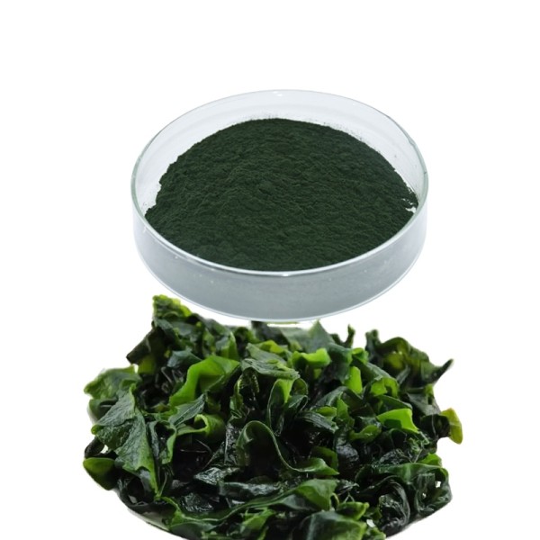 Chlorella Powder Manufacturer - USDA Organic Spirulina