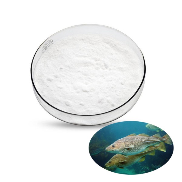 Fish Oil DHA Manufacturer - Omega-3 Softgel Capsules