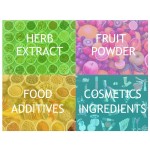 Probiotics Powder Manufacturer - 300 Billion Bifidobacterium