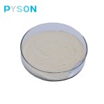 Probiotics Powder Manufacturer - 300 Billion Bifidobacterium