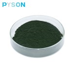 Chlorella Powder Manufacturer - USDA Organic Spirulina
