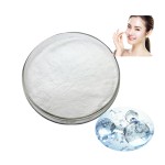Hyaluronic Acid Manufacturer - Sodium Hyaluronate Powder