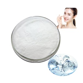 Hyaluronic Acid Manufacturer - Sodium Hyaluronate Powder