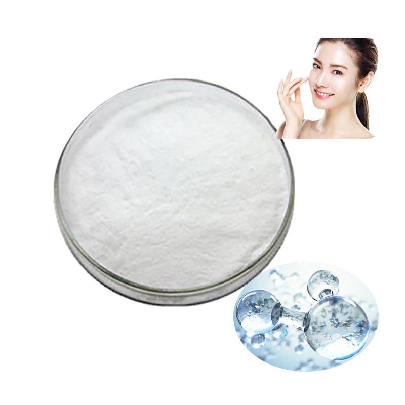 Hyaluronic Acid Manufacturer - Sodium Hyaluronate Powder