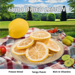 Freeze Dried Lemon Slices Supplier - Organic Bulk Packaging