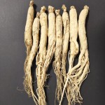 Ginseng Health Tea Manufacturer - Loose Leaf