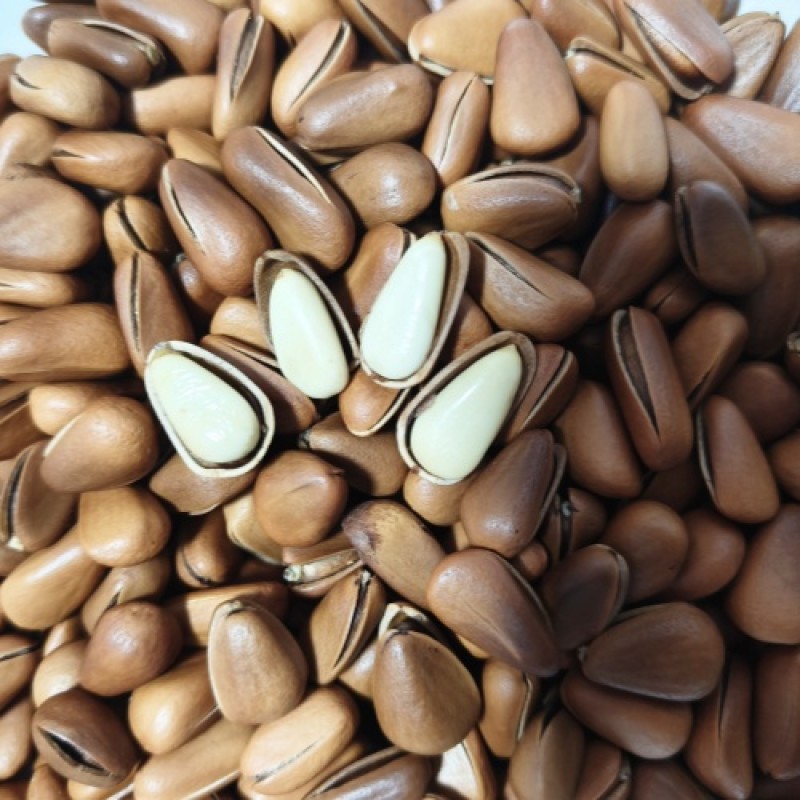 Freeze Dried Fruit Tea Manufacturer - Chrysanthemum Lemon