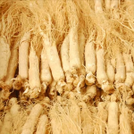 Changbai Mountain Ginseng Supplier - Authentic Nourishing