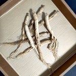 Dried Ginseng Root Manufacturer - 6 Year Old
