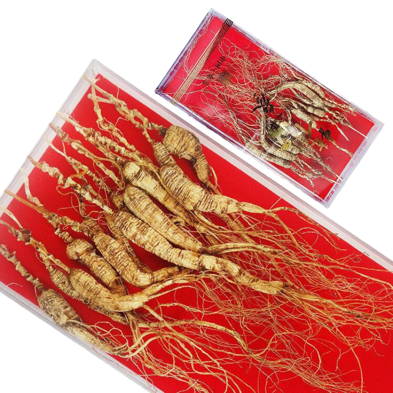 Fresh Ginseng Factory - Hot Selling Dried