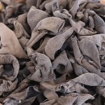 Black Fungus Mushroom Supplier - Whole Dried Bag Pack