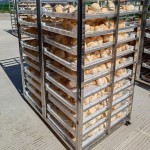 Dried Lion's Mane Mushrooms Factory - Cultivated Raw