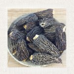 Dried Morel Mushrooms Supplier - Wild Natural Single