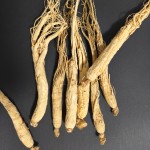 Raw Ginseng Supplier - Hot Selling Herbal